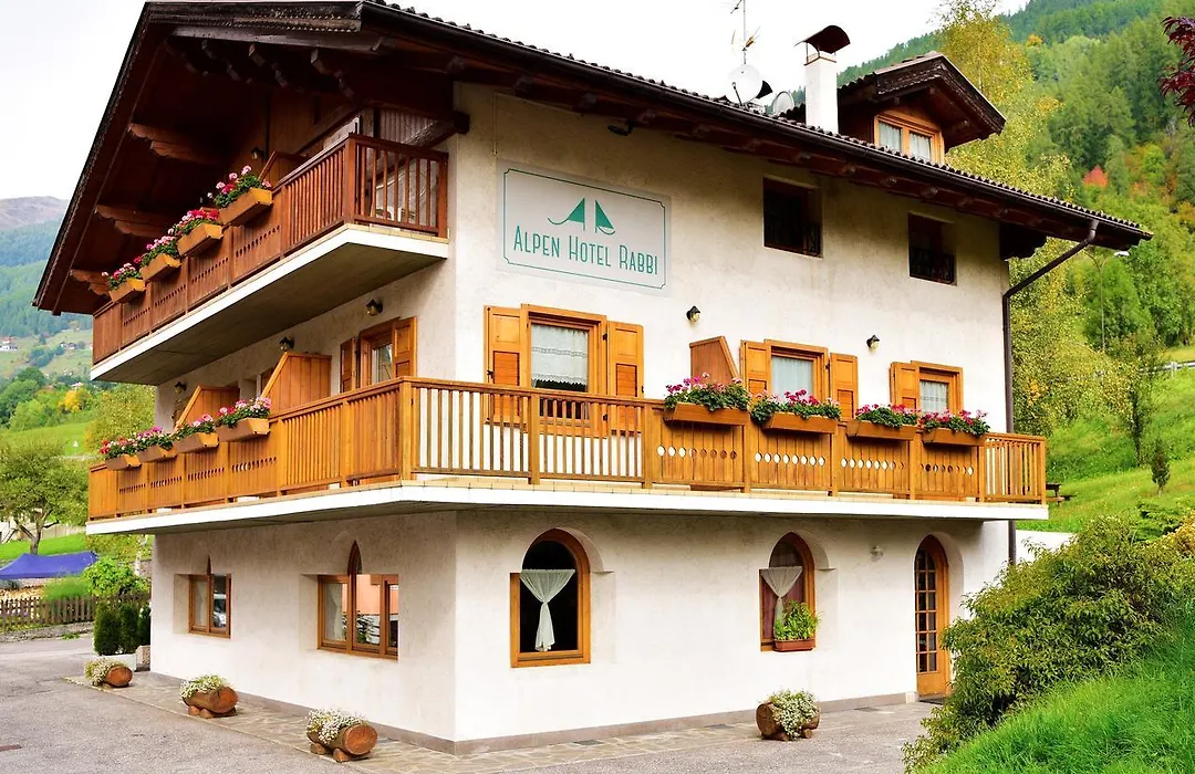 Alpen Hotel Rabbi-1
